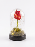 La Rose Éternelle